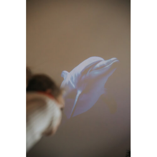 Kidywolf Kidywolf | Kidystar Beeldprojector | Oceanen en zeeën Kidywolf Kidywolf | Kidystar Beeldprojector | Oceanen en zeeën