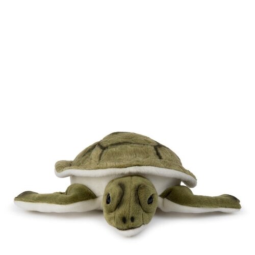 Bon Ton Toys Bon Ton Toys | WWF Schildpad Bon Ton Toys Bon Ton Toys | WWF Schildpad