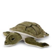 Bon Ton Toys | WWF Schildpad