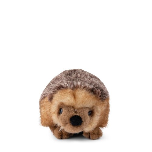 Bon Ton Toys Bon Ton Toys | WWF Egel Bon Ton Toys Bon Ton Toys | WWF Egel