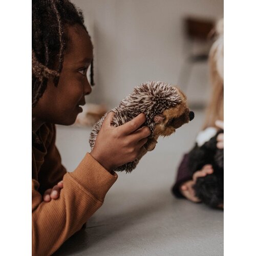 Bon Ton Toys Bon Ton Toys | WWF Egel Bon Ton Toys Bon Ton Toys | WWF Egel