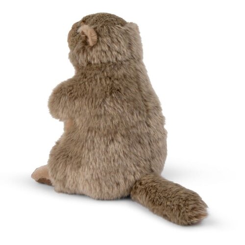 Bon Ton Toys Bon Ton Toys | WWF Marmot