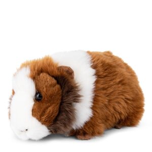 Bon Ton Toys Bon Ton Toys | WWF Cavia Bon Ton Toys Bon Ton Toys | WWF Cavia