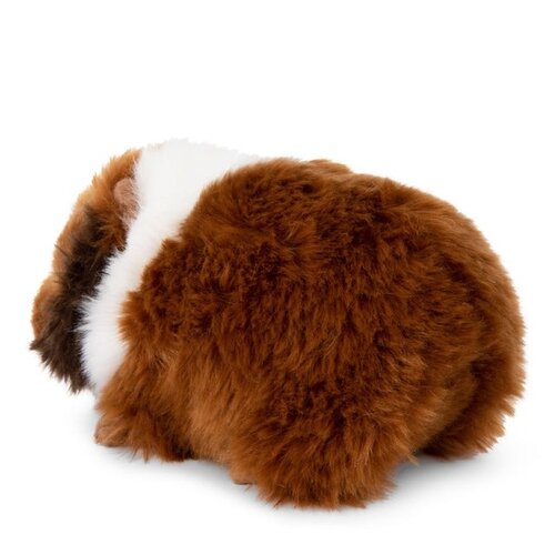 Bon Ton Toys Bon Ton Toys | WWF Cavia