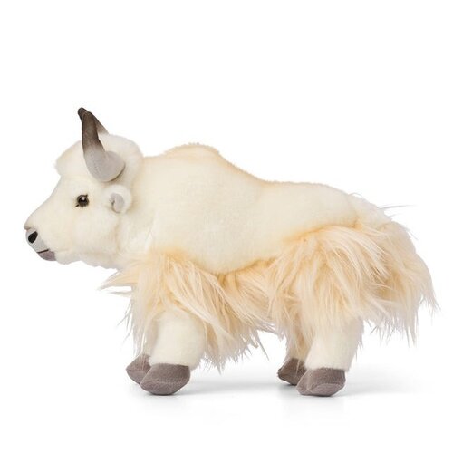 Bon Ton Toys Bon Ton Toys | WWF Jak Bon Ton Toys Bon Ton Toys | WWF Jak