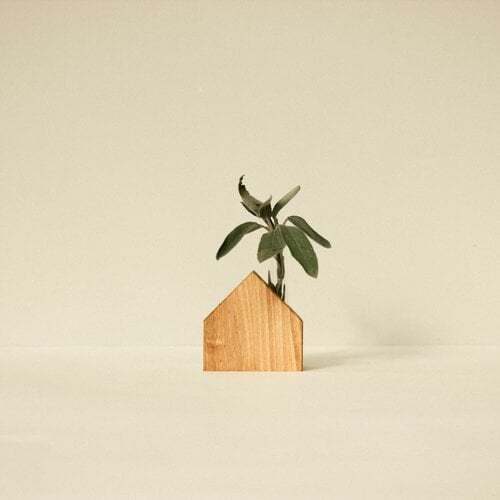 Wooden Story Wooden Story | Houten vaasje Nr. 07 Wooden Story Wooden Story | Houten vaasje Nr. 07