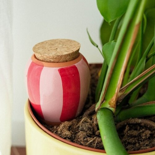 Pepin Pepin | Olla Rood Roze Gestreept