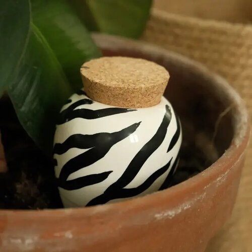 Pepin Pepin | Olla Zebra
