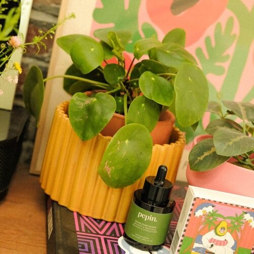 Pepin Pepin | Paula (maat M) Mosterdgeel