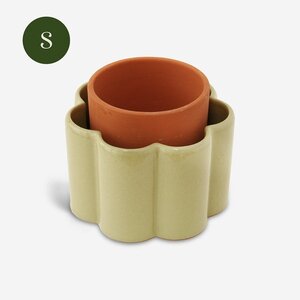 Pepin Pepin | Paulita (maat S) Groen Pepin Pepin | Paulita (maat S) Groen