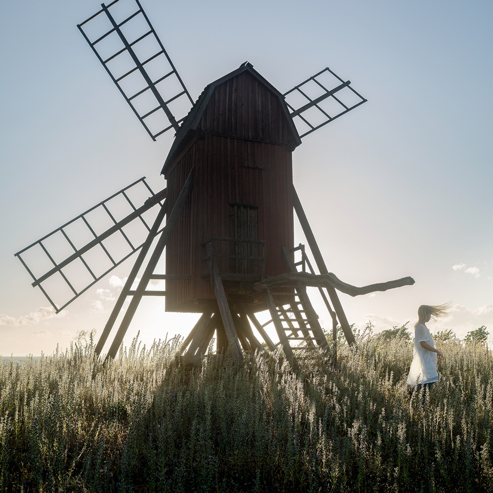 Storefactory  Poster Windmill