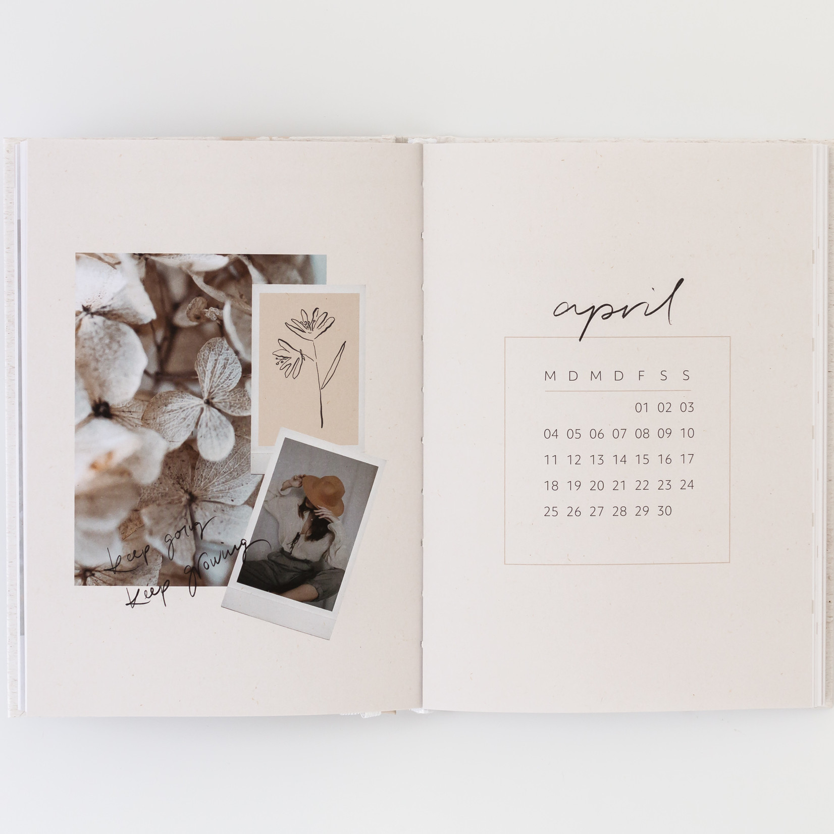 Jacqui Designs  Taschenkalender – Floral