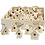 Creativ Company Vogelhuis, H: 7 cm, 6x10 stuk/ 1 doos