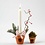Creativ Company Bloempot, H: 6,5 cm, d 7 cm, 24 stuk/ 1 doos