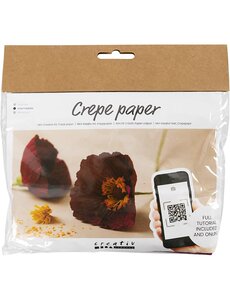 Creativ Company Mini Hobbyset Crêpepapier