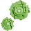 Creativ Company Papieren bloemen, d 15+25 cm, 230 gr, groen, 2 stuk/ 1 doos