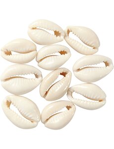 Creativ Company Schelpen