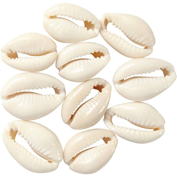 Creativ Company Schelpen, L: 20 mm, naturel, 12 stuk/ 1 doos