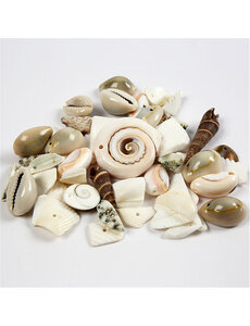 Creativ Company Strand schelpen kralen