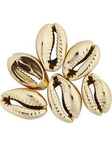 Creativ Company Schelpen