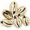Creativ Company Schelpen, L: 20 mm, verguld, 6 stuk/ 1 doos