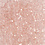 Creativ Company Facet Kralen, afm 3x4 mm, gatgrootte 0,8 mm, roze, 100 stuk/ 1 doos