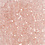Creativ Company Facet Kralen, afm 3x4 mm, gatgrootte 0,8 mm, roze, 100 stuk/ 1 doos
