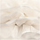Creativ Company Pompon van papier, d 20+24+30 cm, 14 gr, wit, 3 stuk/ 1 doos