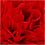 Creativ Company Pompon van papier, d 20+24+30 cm, 16 gr, rood, 3 stuk/ 1 doos
