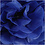Creativ Company Pompon van papier, d 20+24+30 cm, 16 gr, donkerblauw, 3 stuk/ 1 doos