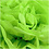 Creativ Company Pompon van papier, d 20+24+30 cm, 16 gr, lime groen, 3 stuk/ 1 doos