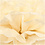Pompon van papier, d 20+24+30 cm, 16 gr, off-white, 3 stuk/ 1 doos