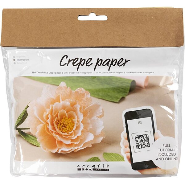 Creativ Company Mini Hobbyset Crêpepapier, Pioenroos, Crêpe-verhouding: 180%, 105 gr, 1 doos