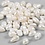 Creativ Company Zoetwaterparels, Overdwars geperforeerd, d 4-6 mm, gatgrootte 1 mm, parelmoer, 55 stuk/ 1 doos