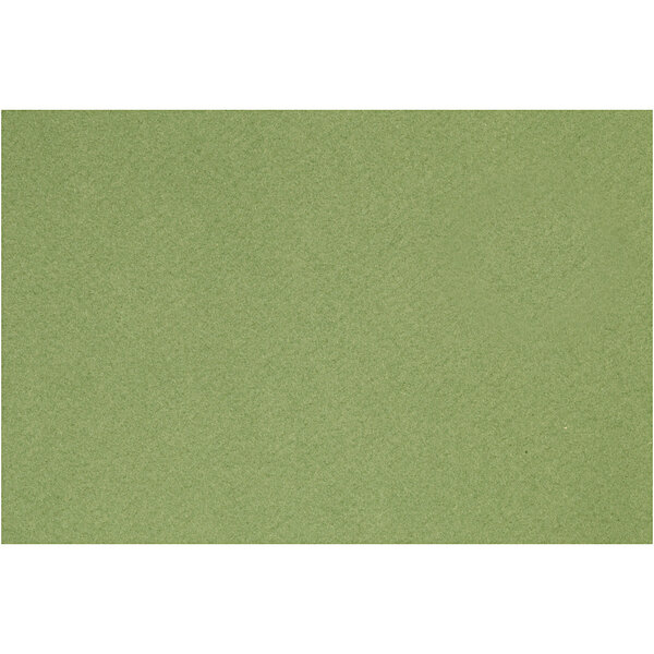 Creativ Company Frans karton, A4, vel 210x297 mm, 160 gr, apple Green, 1 vel