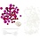 Creativ Company Mini Hobbyset Sieraden, Halsketting en armband, roze, 1 doos