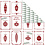 Vivi Gade Design papier, kerstballen en kerstbomen, vel 30,5x30,5 cm, 180 gr, 5 vel/ 1 doos
