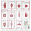 Vivi Gade Design papier, kerstballen en kerstbomen, vel 30,5x30,5 cm, 180 gr, 5 vel/ 1 doos