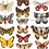 Creativ Company Vintage plaatjes, vlinders, vel 16,5x23,5 cm, 2 vel/ 1 doos