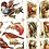 Creativ Company Vintage plaatjes, vogels, vel 16,5x23,5 cm, 2 vel/ 1 doos