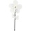 Creativ Company Bloemen windmolen, d 20 cm, 10 stuk/ 1 doos