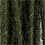Creativ Company Jute koord, dikte 2-4 mm, groen, 3 m/ 1 doos