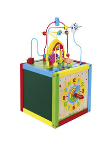VIGA VIGA 5-in-1 speelkubus
