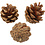 Creativ Company Dennenappels, d 40 mm, 500 gr/ 1 doos