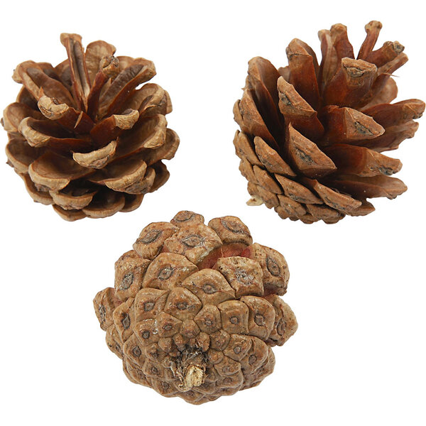 Creativ Company Dennenappels, d 40 mm, 500 gr/ 1 doos