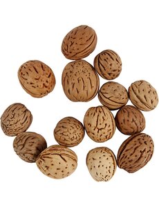 Creativ Company Noten