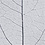 Creativ Company Skeleton leaves , L: 6-8 cm, blauw, 20 stuk/ 1 doos