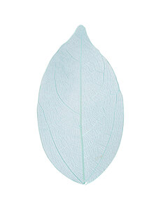 Creativ Company Skeleton leaves