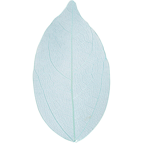 Creativ Company Skeleton leaves , L: 6-8 cm, lichtblauw, 20 stuk/ 1 doos