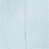 Creativ Company Skeleton leaves , L: 6-8 cm, lichtblauw, 20 stuk/ 1 doos